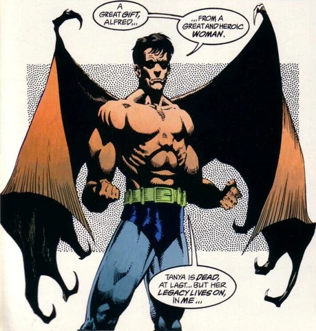 Image - Batman's Wings.png | Batman Wiki | FANDOM powered by Wikia