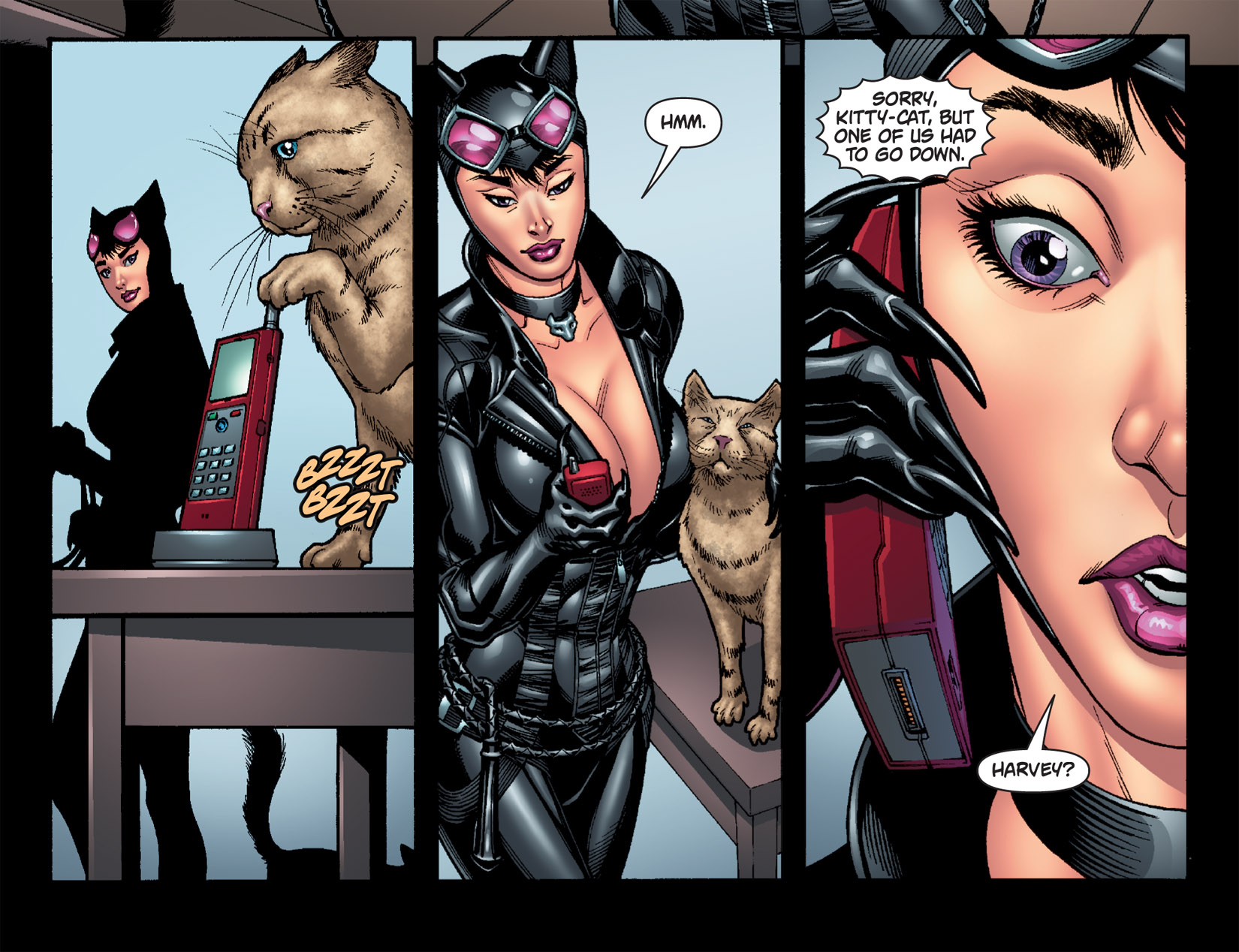 1650px x 1268px - Batman Arkham City Batman Series Catwoman Female - MILF ...