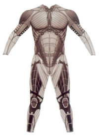 Batsuit begins