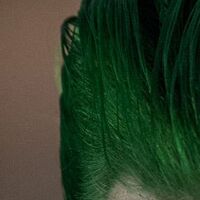 The Joker Jared Leto Batman Wiki Fandom