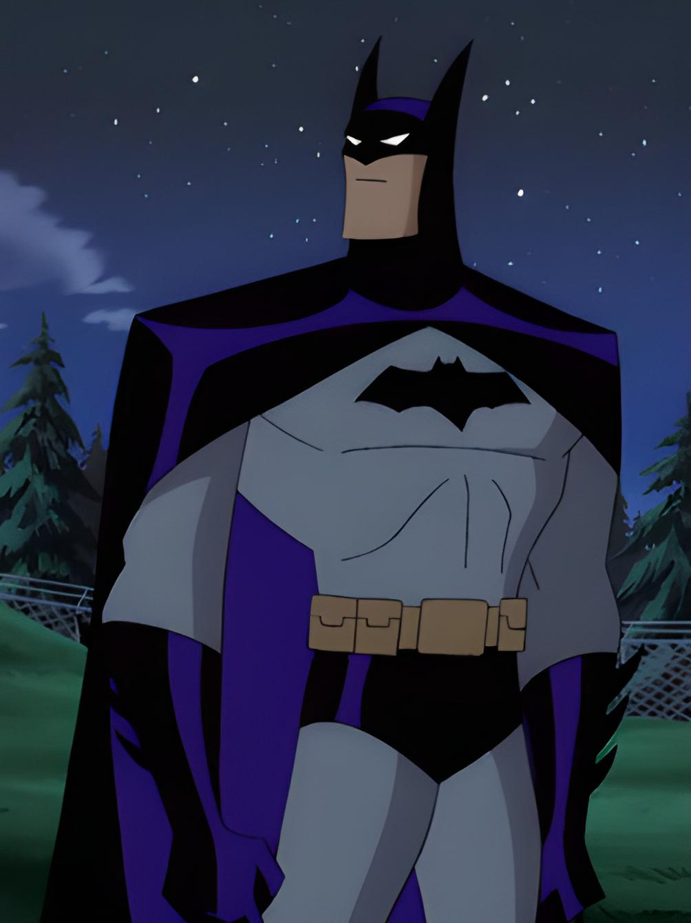 Batman Animated Series Suit