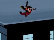 Robin swinging