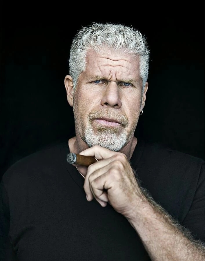 Ron Perlman | Batman Wiki | FANDOM powered by Wikia