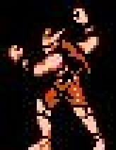 Firebug NES