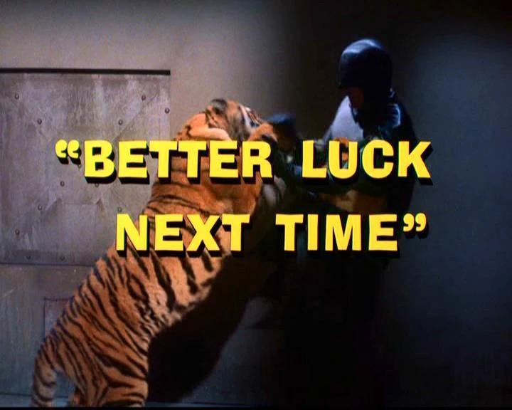 Better Luck Next Time Batman Wiki Fandom