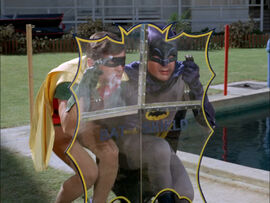 Bat shield