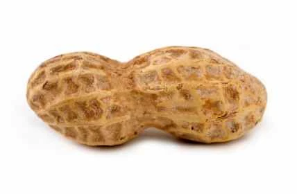 Peanut.jpg