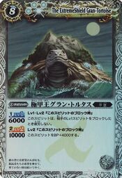 Gran-tortoise1