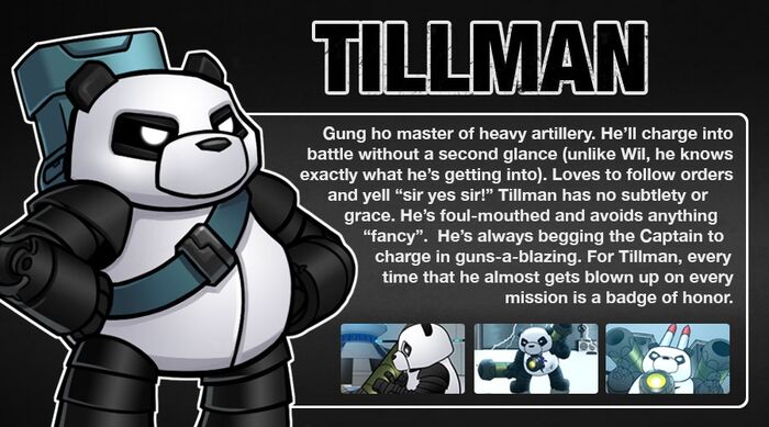 Tillman description