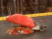 MouserMechaCatbotvsMechaTentomushiBattlebots5.0