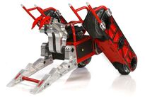 Razorback BB2016