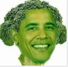 Baroccoli