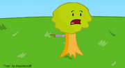 Tree stabbed with a knive