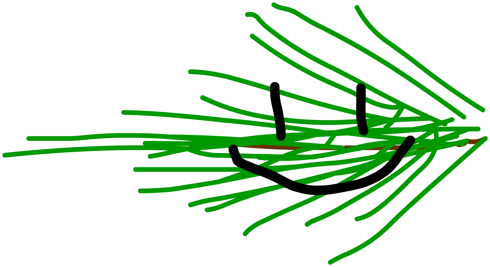 Pine Leafy