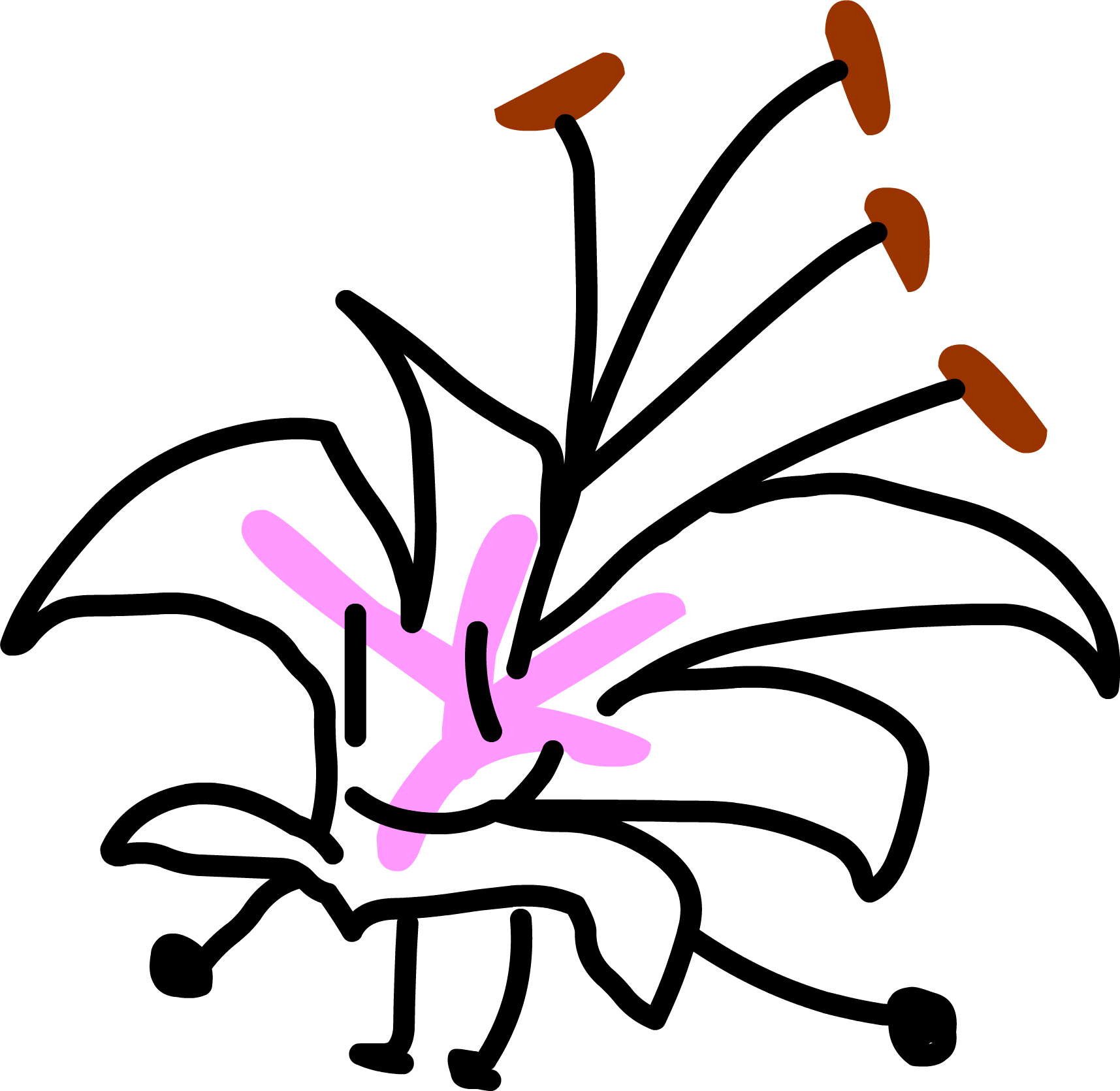 Lilly