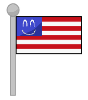 New American Flag