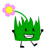 Flower Grassy New Bodie