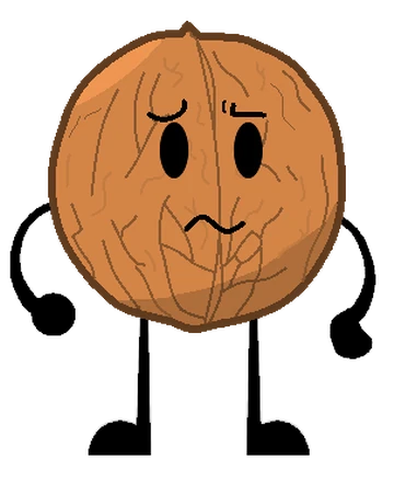 Walnut Object Shows Community Fandom