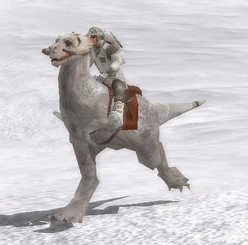 taun taun sb