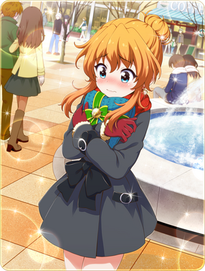 Card 40043