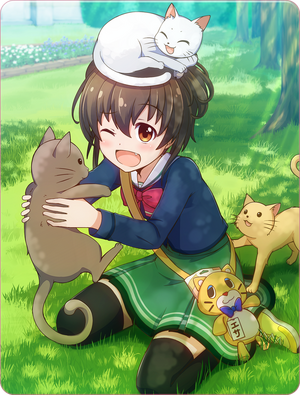 Card 110017