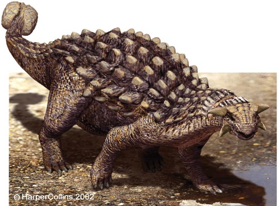 dinosaur with the spiked ball tail