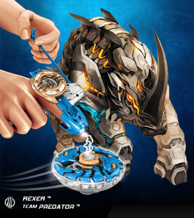 Rexer