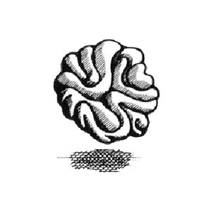 BrainDamage