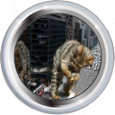Badge-pounce