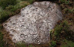 Ancient rock art 2sfw