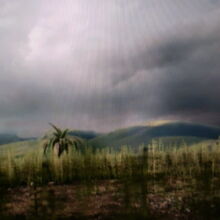 Hațeg Island Bbc Planet Dinosaur Wiki Fandom
