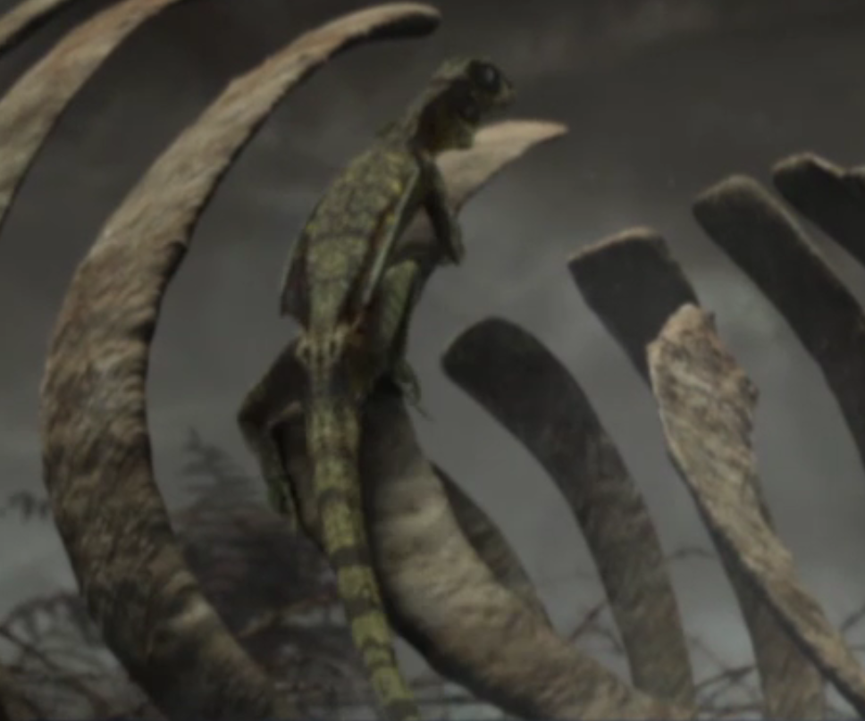 Lizard | BBC Planet Dinosaur Wiki | FANDOM powered by Wikia