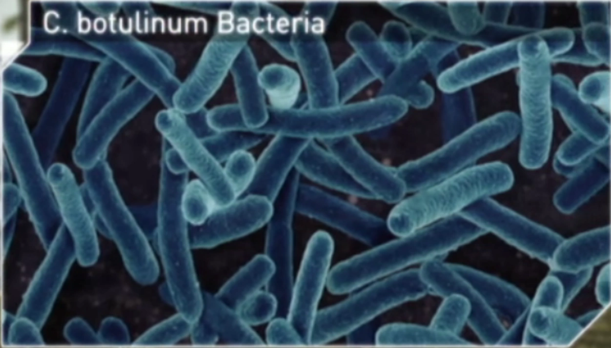 C. botulinum Bacterium | BBC Planet Dinosaur Wiki | FANDOM powered by Wikia