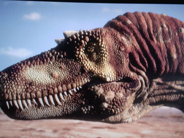 planet dinosaur carcharodontosaurus