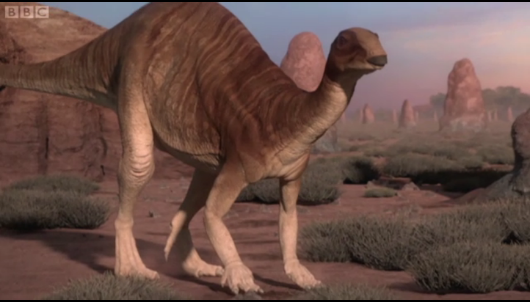Camptosaurus | BBC Planet Dinosaur Wiki | FANDOM powered by Wikia