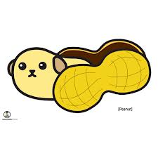 PeanutMameshiba