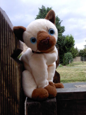 File:XD 006.jpg