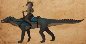 Croco rider