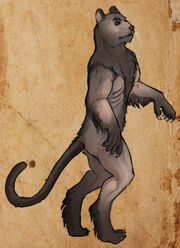 Werecat