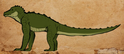 Crokodlak 1
