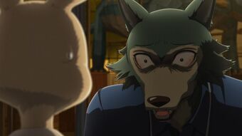 Get Wallpaper Haru Relationships Beastars Wiki Fandom Free