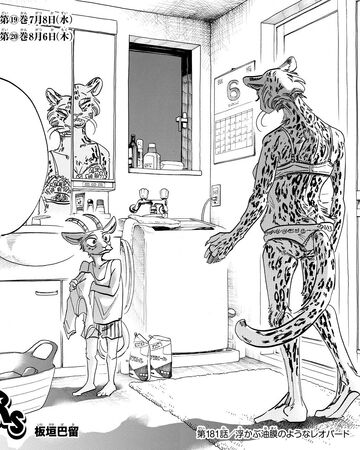 Get Wallpaper Chapter 181 Beastars Beastars Wiki Fandom For Free