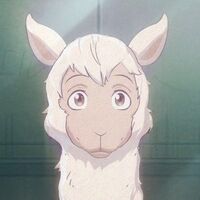 Get Wallpaper Tem Beastars Wiki Fandom For Android
