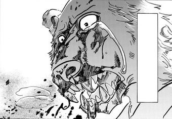 Get Wallpaper Riz Beastars Wiki Fandom For Free