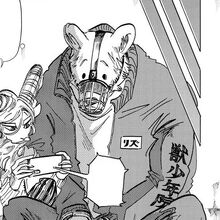 Get Wallpaper Riz Beastars Wiki Fandom For Free