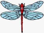 Csshatter Dragonfly mode