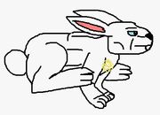Csmoonrabbit