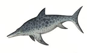 Ichthyosaur