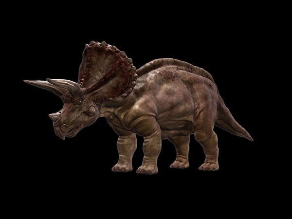 storybots dinosaurs triceratops