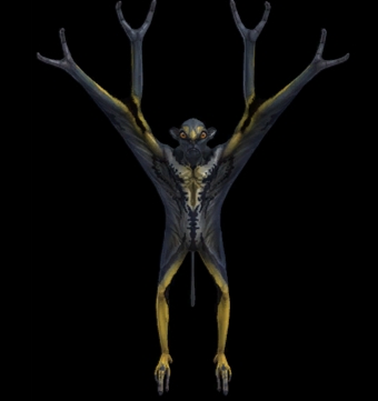 Prolemuris